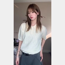 老钱风冰丝针织polo衫美式cleanfit提花短袖男夏季高智高级感t恤，男装Polo衫，星座506A