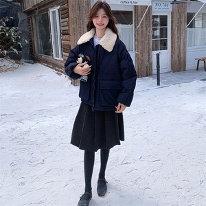 现货：冬装新款韩系休闲羊羔毛翻领短款羽绒服2C135-6839P275K418图片