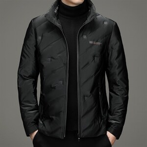 冬季商务休闲灰鸭绒羽绒服立领中年男简约时尚上衣XXH9911-P245，男装羽绒服，电商B212（原钱塘6029）