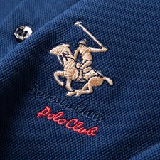 2023年秋季新款男士中年纯色刺绣休闲POLO衫纯棉薄款长袖T恤上衣，男装T恤，电商B212（原钱塘6029）