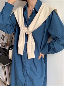 【现货】秋款长款衬衣裙单品图片