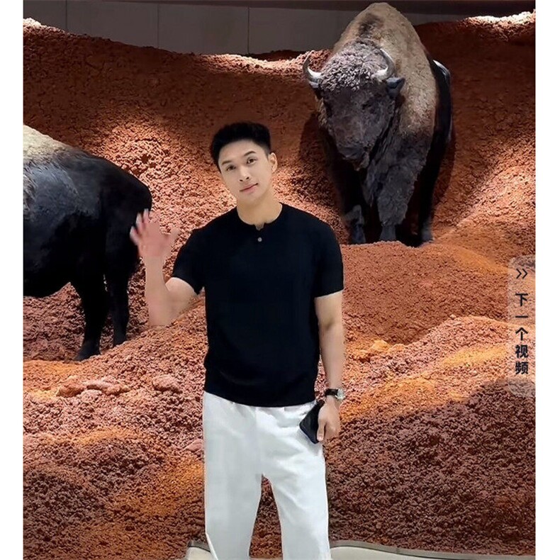 网格肌理老钱风亨利领纹理感针织衫短袖T恤25137/P55图片
