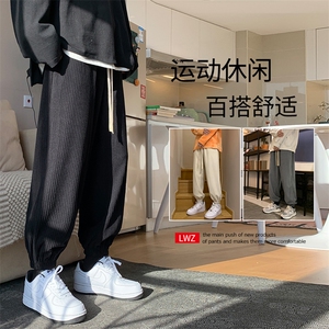 秋冬2022百搭加绒加厚拉绳休闲裤 1002特批35-加绒特批43图片