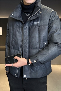 3777-M-3XL-P205标50绒店主风冬季渲染修身男士羽绒服外套男图片