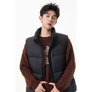 90%绒 新标有报告短款宽松羽绒服马甲上衣 Y981/ P210 现货图片