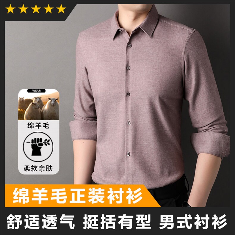 F83152含羊毛莫代尔正装商务长袖衬衫图片