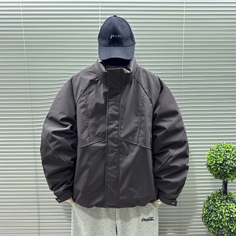 2025新标90白鸭绒时尚休闲短款立领男冬季加厚羽绒服302-P280，男装羽绒服，钱塘708(原3018)