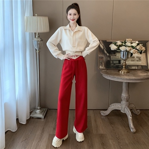 女秋季新款高级感休闲时尚套装减龄显瘦立领长袖外套阔腿裤两件套