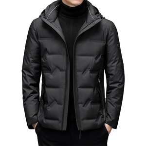 2023冬季新款羽绒服男装休闲灰鸭绒中年爸爸装外套YYYR22019-P240图片