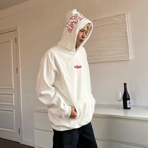 JY375-P56 套头连帽上衣青少年休闲宽松运动加绒外套男 网图图片