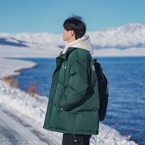 B225-W8633-P118-X148----聚酯纤维--假两件双面印花棉服外套图片