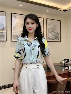 2022夏季新款现货短袖衬衫修身显瘦气质高雅时尚女装图片