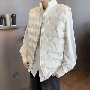 秋冬季羽绒棉服马甲男2025新款潮流外穿纯色坎肩立领工装图片