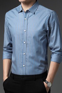 男士长袖衬衫春秋季新款商务休闲中年时尚爸爸装小格子衬衣男图片