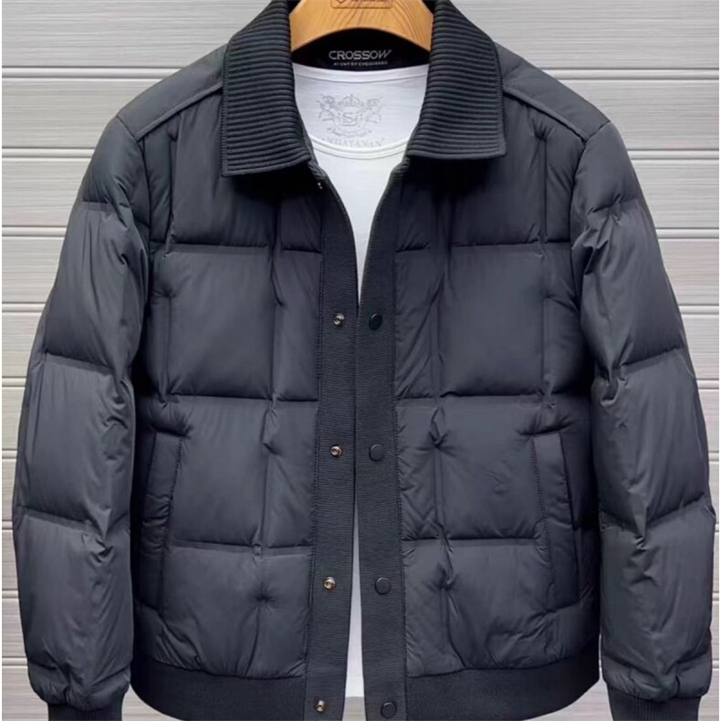 (网图)90白鸭绒90-94克翻领羽绒服时尚百搭313B-25186翻领-P225,男装羽绒服,星座313B