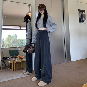 AK2460-P50 灰色女秋冬季加厚直筒阔腿裤休闲380g毛呢镰刀裤图片