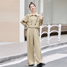欧货高级感时尚休闲套装女春秋2024新款气质减龄显瘦阔腿裤两件套，女装套装/套裙，涵墨