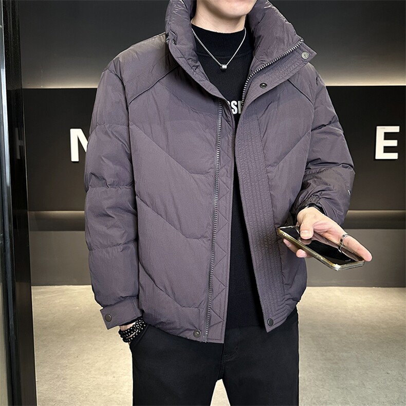 90%标白鸭绒2025冬季立领休闲短款加厚羽绒服外套M8752-P290,男装羽绒服,电商A413