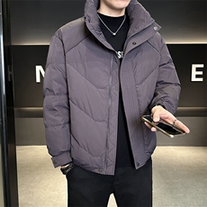 90%标白鸭绒2025冬季立领休闲短款加厚羽绒服外套M8752-P290，男装羽绒服，电商A413
