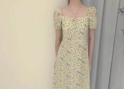 新款连衣裙，女装连衣裙，EVE