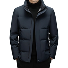 DF2380钱塘2020-2冬季新款厚款时尚休闲立领中年男士羽绒服P275，男装羽绒服，钱塘207-2