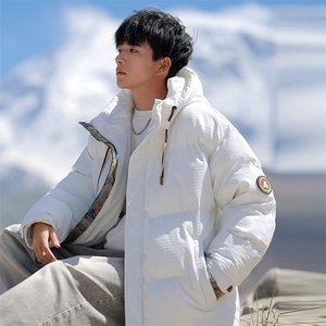 棉服男2026冬季新款宽松休闲连帽棉衣外套 2399特P90控148图片