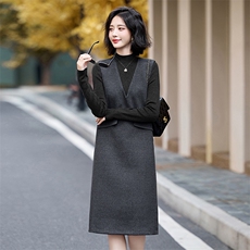 时尚连衣裙套装女秋冬2026新款气质休闲半高领打底衫背心裙两件套，女装套装/套裙，蓝诺裳
