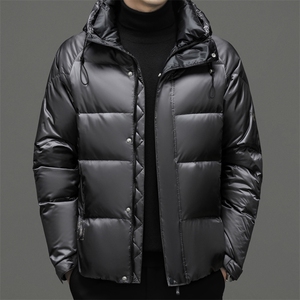 DF8227钱塘2020-2冬季时尚简约厚款新款中年男士羽绒服P343图片
