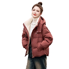 2024冬季新款时尚气质百搭立领保暖舒适拼色连帽短款羽绒服，女装羽绒服，时尚俏佳人
