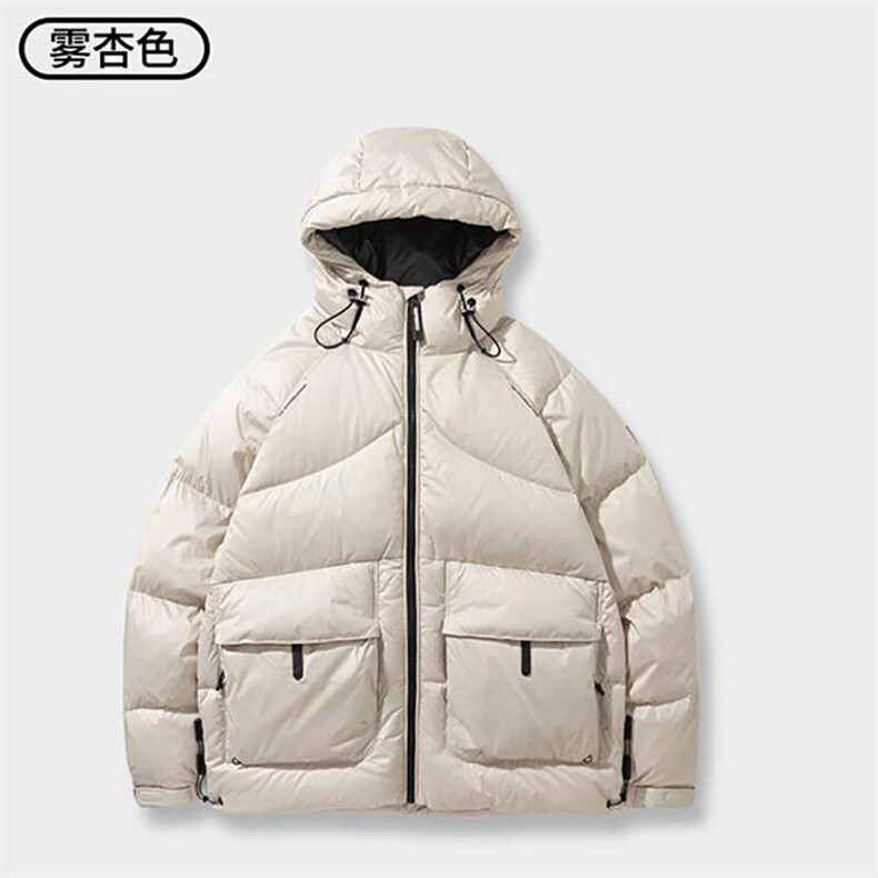 连帽服男士冬季纯色休闲潮流加厚外套高级感百搭yrf219-TP255,男装羽绒服,电商A089-1