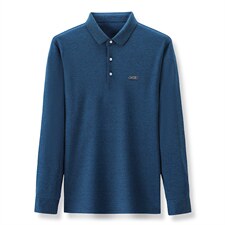 春秋季装中年男士翻领长袖t恤男装商务休闲时尚百搭上衣polo衫，男装T恤，电商B212（原钱塘6029）