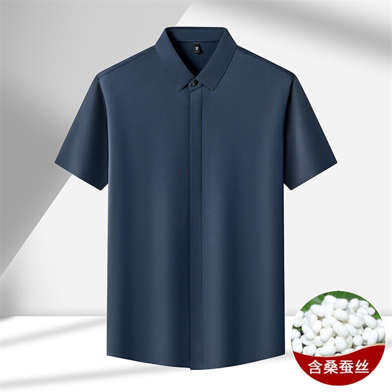 短袖翻领衬衫男士高级感抗皱免烫夏季轻奢商务衬衣,男装衬衫,电商B212（原钱塘6029）
