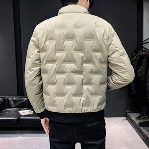  2021秋冬季新款立领羽绒服男  钱塘3029-888  真模图图片