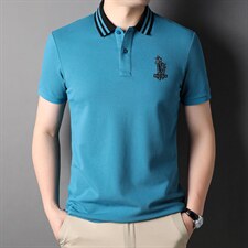 polo衫短袖男夏季潮牌2023新款半袖上衣宽松翻领t恤男，男装T恤，电商B212（原钱塘6029）
