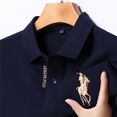 2024高端夏季带领休闲Polo衫男短袖时尚翻领T恤纯色中青年半袖，男装Polo衫，电商B212（原钱塘6029）
