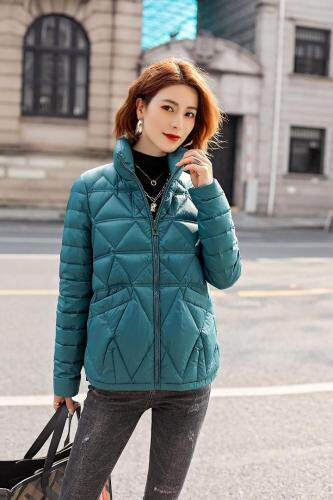 真维多利 ZWDL103092