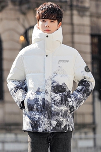 现货 外贸侧飞图立领光板团体服班服宽松韩版情侣学生外套羽绒服图片