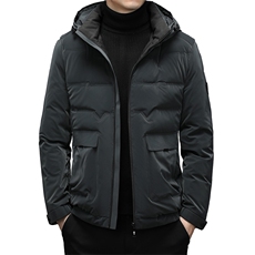 潮流羽绒服男士冬季连帽保暖工装百搭宽松休闲外套ZELD9848-P325，男装羽绒服，电商B212（原钱塘6029）