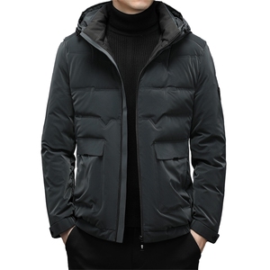 潮流羽绒服男士冬季连帽保暖工装百搭宽松休闲外套ZELD9848-P325,男士时尚杂志服装搭配图片中国图片