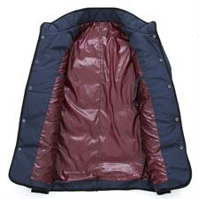 羽绒服白鸭绒2021年时尚都市加厚休闲免烫处理大码外穿布格子立领，男装羽绒服，星座802