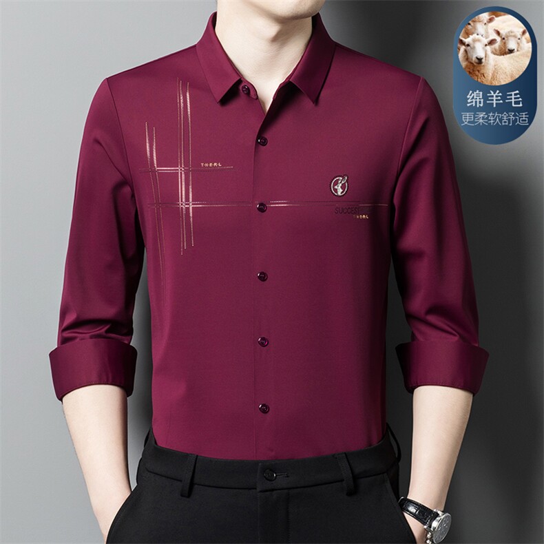 高端长袖条纹春秋绵羊毛中青年免烫商务休闲男士衬衣 XY6628-P115图片