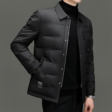 DF8001钱塘2020-2冬季百搭简约翻领厚款中年男士羽绒服P215，男装羽绒服，钱塘207-2