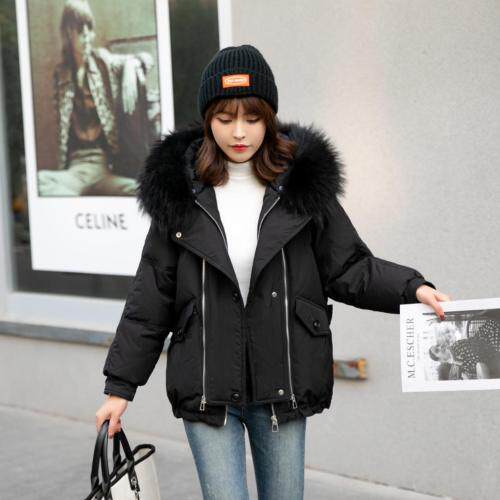 煊芮熙 HZXRXHZXRX104000