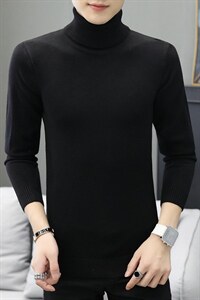 主椎差价大新款跑量高领针织衫长袖套头男士毛衣403-1-M31-P20图片