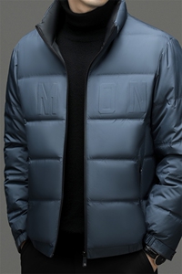 2023年新款羽绒服P355图片
