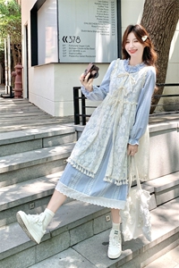 法式浪漫风绝美蕾丝罩衫套装裙女秋季2025年新款叠穿连衣裙两件套图片