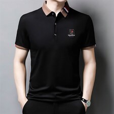 夏季新款2022翻领冰丝短袖t恤男商务休闲刺绣POLO衫半袖体桖男装，男装T恤，电商B212（原钱塘6029）