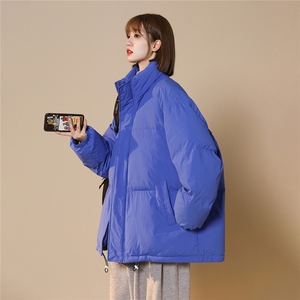 中性白鸭绒22冬季ins基础款纯色保暖立领羽绒服YR180P195控258