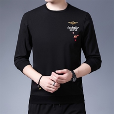 SA8961钱塘2020-2新款中青年男士冬季厚款时尚休闲百搭卫衣P65，男装卫衣，钱塘207-2