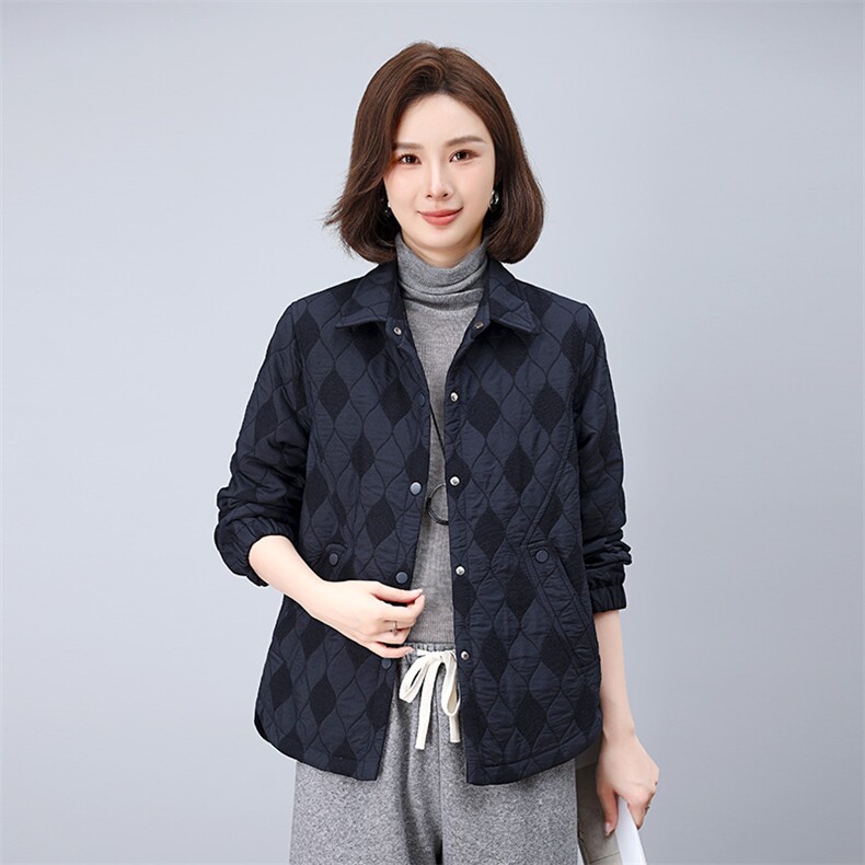 2025年秋季新款时尚休闲翻领短款小外套女,女装短外套,雪樱依海
